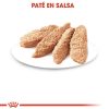 Gatos Royal Canin Comida H Meda | Royal Canin Comida H Meda Kitten Pat Para Gatitos