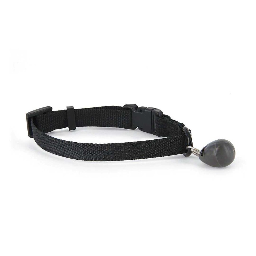 Gatos Petsafe | Petsafe Llave De Collar Magn Tica Staywell