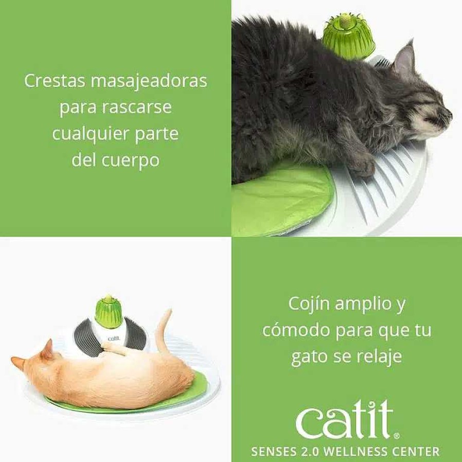 Gatos Catit Rascadores | Catit Centro De Masajes 2.0