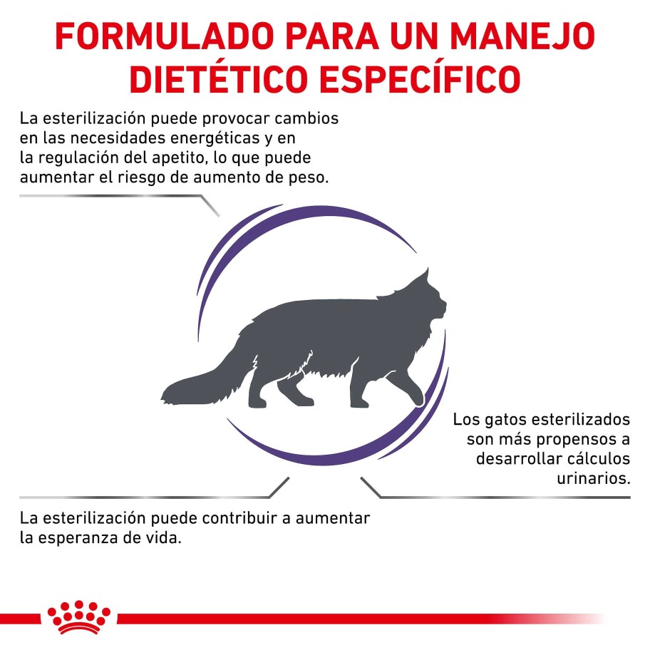 Gatos Royal Canin Pienso | Royal Canin Pienso Neutered Satiety Balance Para Gato