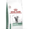 Gatos Royal Canin Pienso | Royal Canin Pienso Diet Tico Diabetic Para Gato