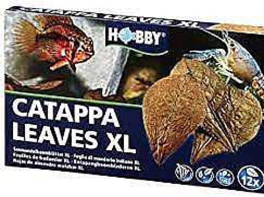 Peces Hobby Tratamientos Enfermedades | Hobby Hojas De Catappa Xl