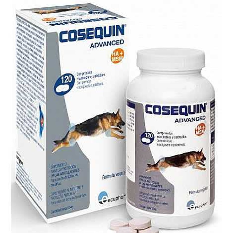 Perros Cosequin | Cosequin Advanced Condroprotector Ds Msm Ha