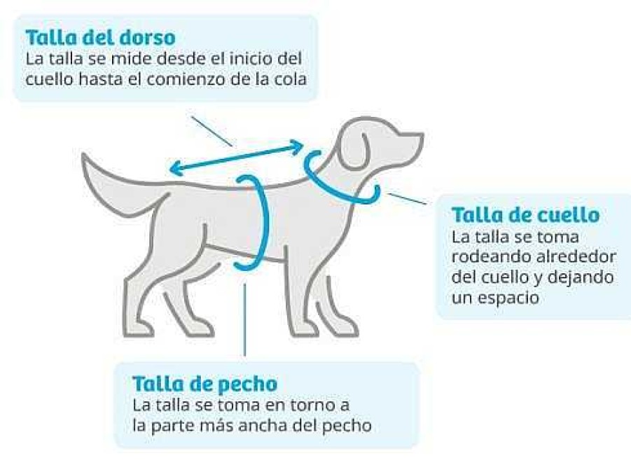 Perros Nayeco Abrigos Y Capas | Nayeco Chaqueta Azul Reflectante Para Perro