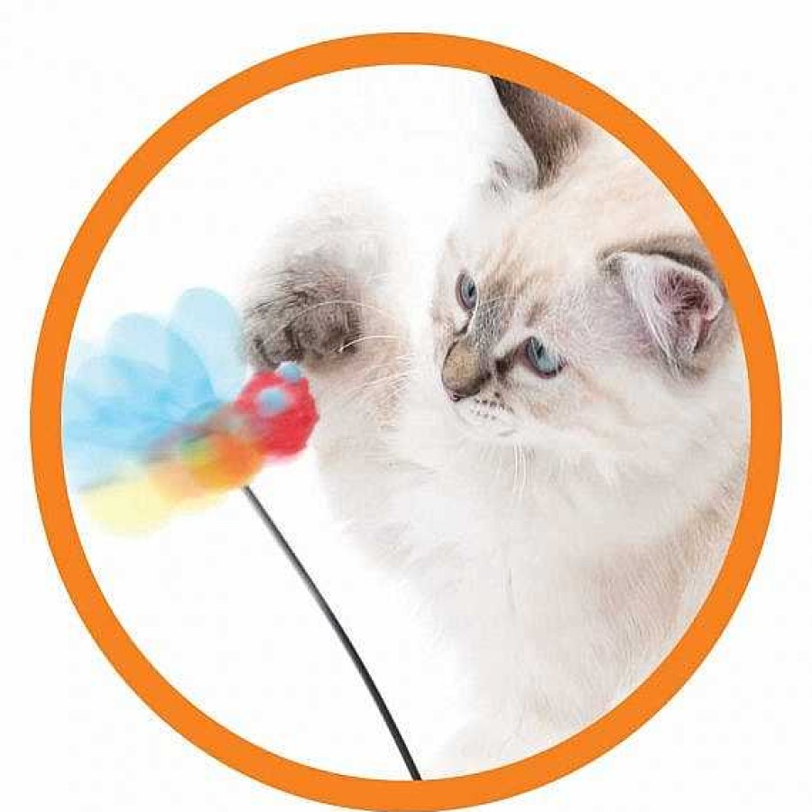 Gatos Catit Movimiento | Catit Juguete Interactivo Play Tumbler Bee