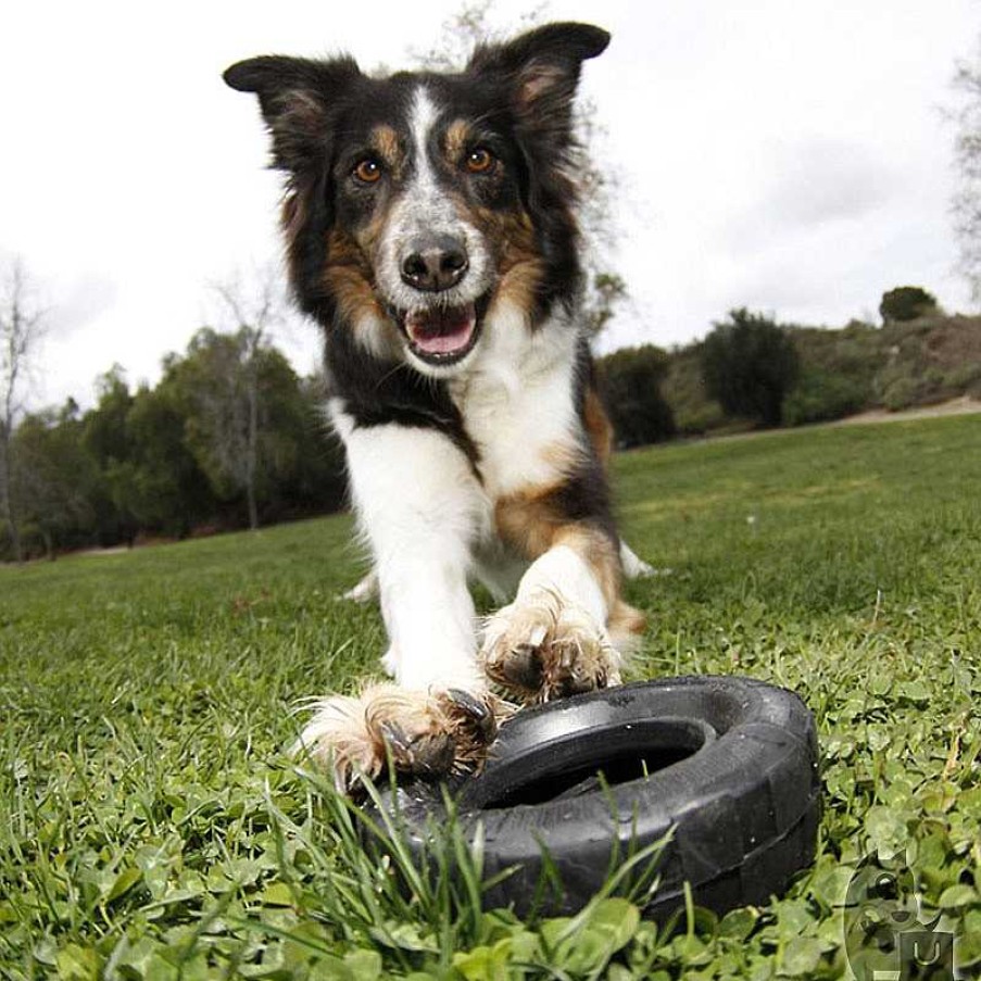 Perros KONG Mordedores Y Motivadores | Kong Mordedor Rueda Extreme Tyres