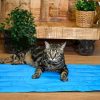 Gatos Musqui Camas | Musqui Manta Refrescante Cool Mat Azul Light Para Perros Y Gatos