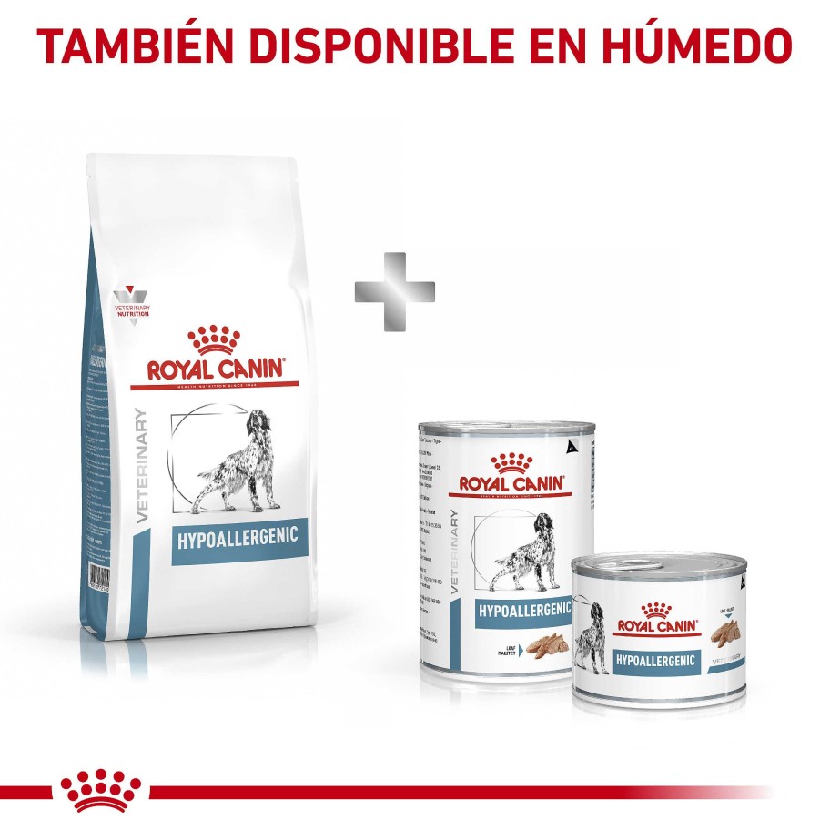 Perros Royal Canin Pienso | Royal Canin Pienso Hypoallergenic Dr21 Canine