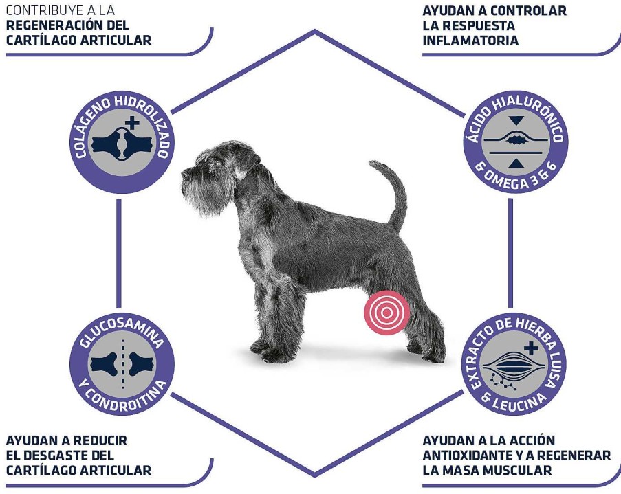 Perros Advance Pienso | Advance Pienso Articular Care +7 A Os Para Perro