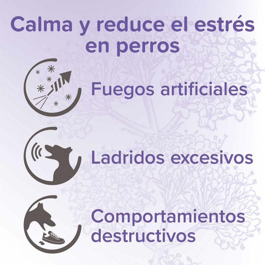 Perros Beaphar Comportamiento | Beaphar Pipetas Calming Spot On Para Perros