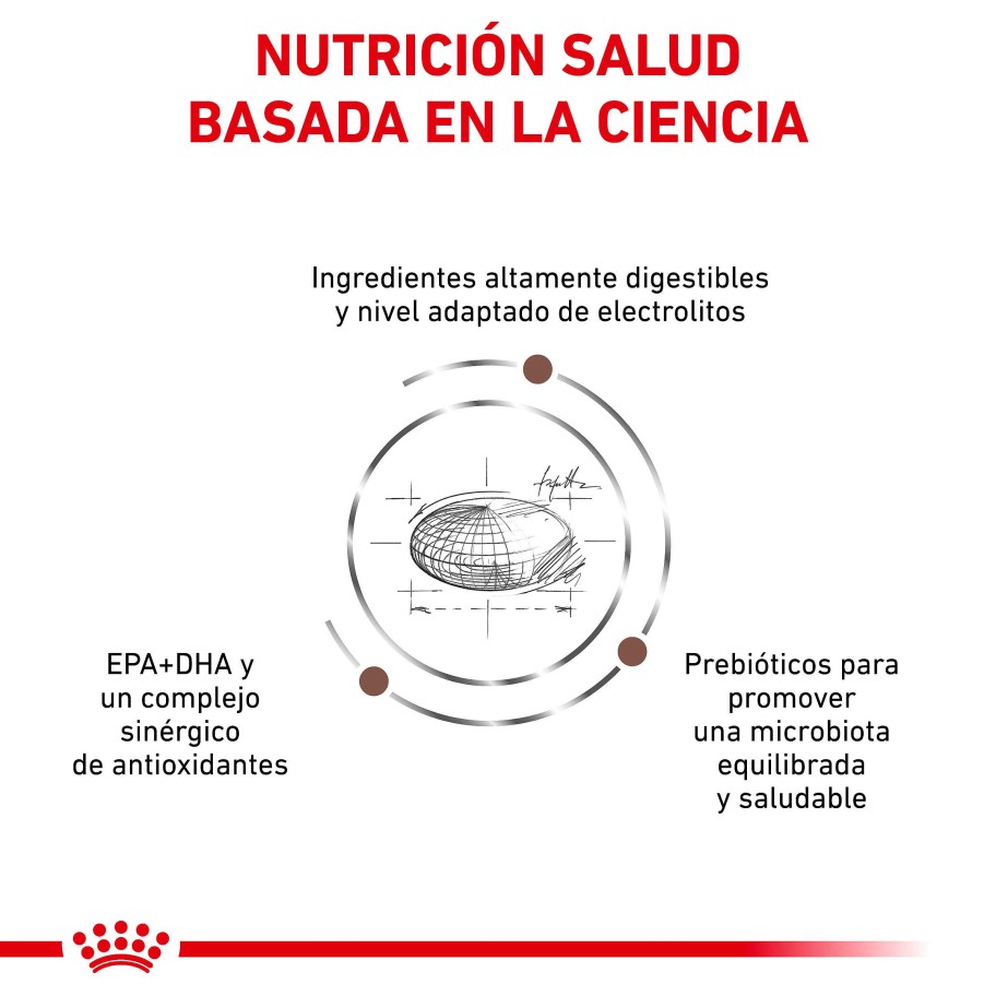 Perros Royal Canin Pienso | Royal Canin Pienso Gastrointestinal 25 Para Perro