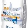 Gatos Monge Vet Solution Dieta Veterinaria | Monge Vet Solution Urinary Struvite