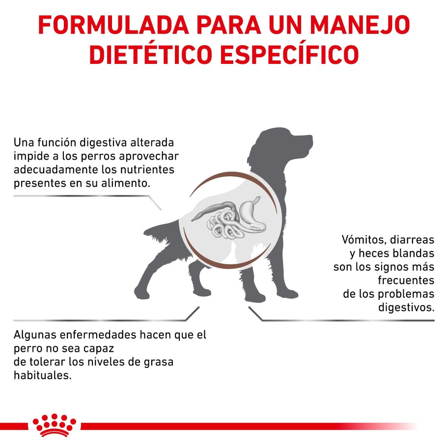 Perros Royal Canin Pienso | Royal Canin Pienso Gastrointestinal Low Fat 22 Para Perro