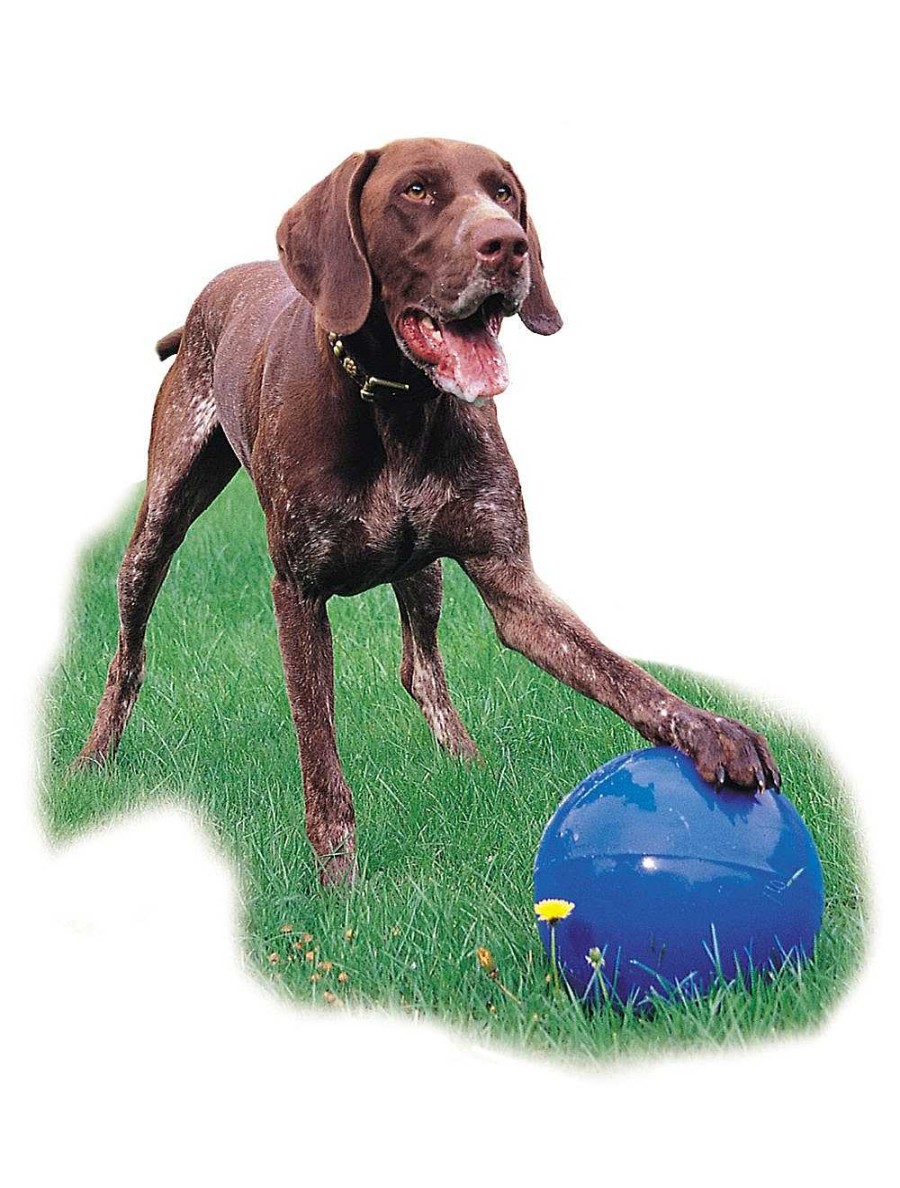 Perros The Company Of Animals Pelotas | The Company Of Animals Boomer Ball Pelota Para Perro Indestructible