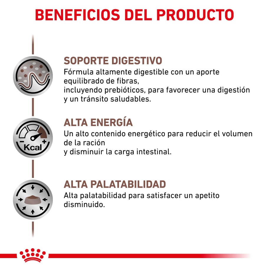 Gatos Royal Canin Pienso | Royal Canin Pienso Gastrointestinal Para Gato