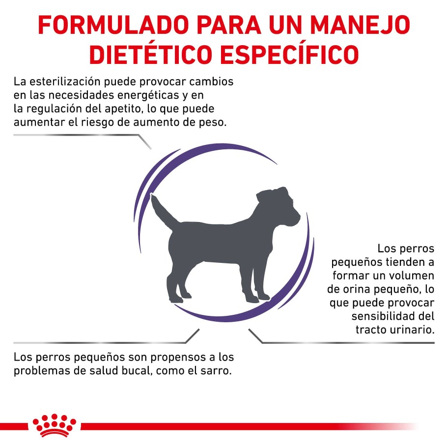 Perros Royal Canin Pienso | Royal Canin Pienso Neutered Adult Small Dog