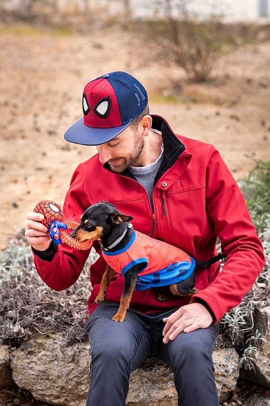 Perros For Fan Pets Mordedores Y Motivadores | For Fan Pets Mordedor Para Perros Spiderman