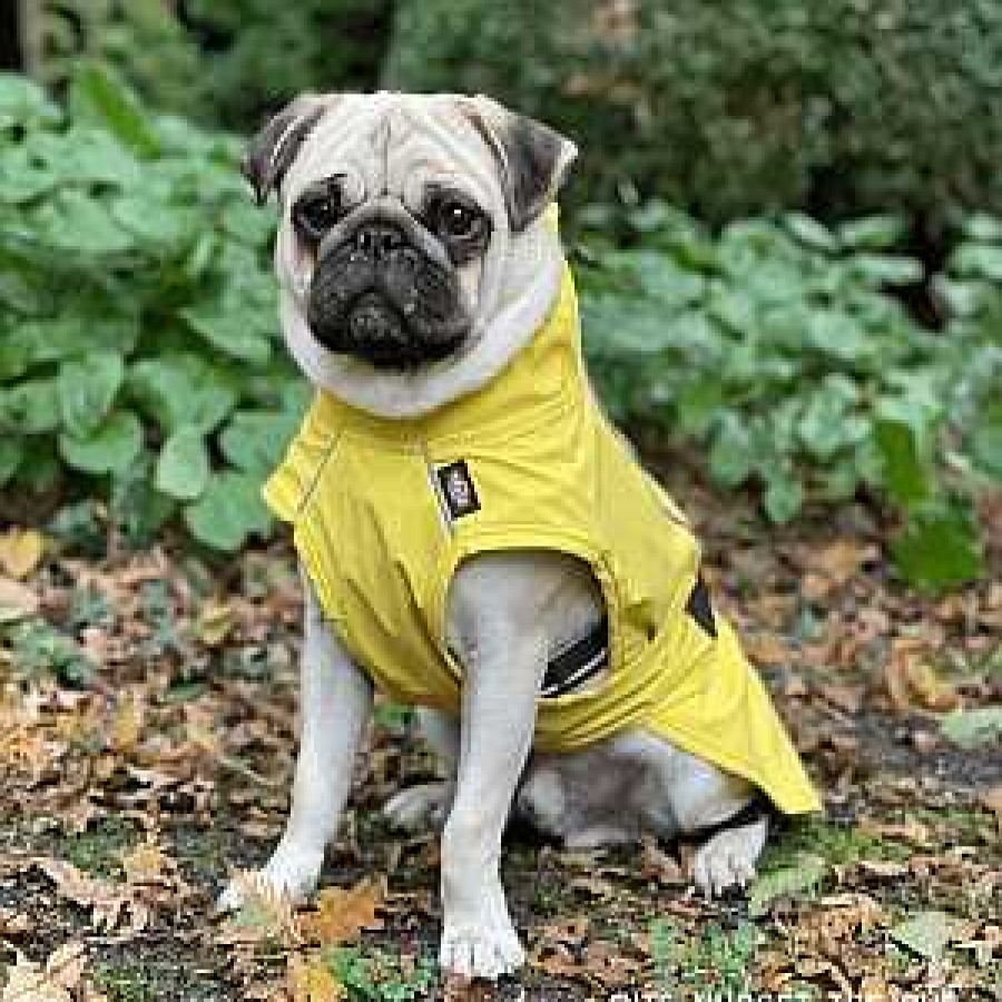 Perros Trixie Chubasqueros | Trixie Impermeable Vimy Amarillo Para Perros