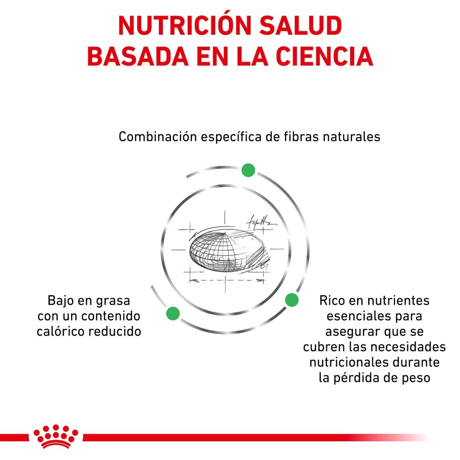 Gatos Royal Canin Pienso | Royal Canin Pienso Satiety Weight Management Feline Para Gato