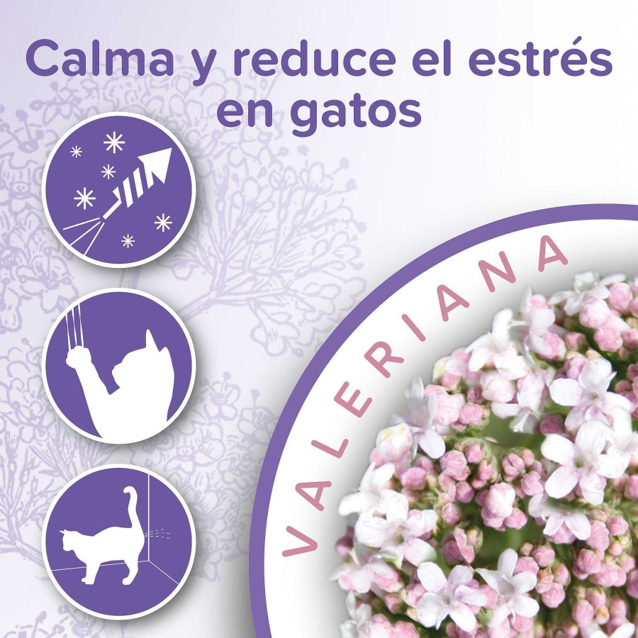 Gatos Beaphar Comportamiento | Beaphar Calming Collar Comportamiento Para Gatos