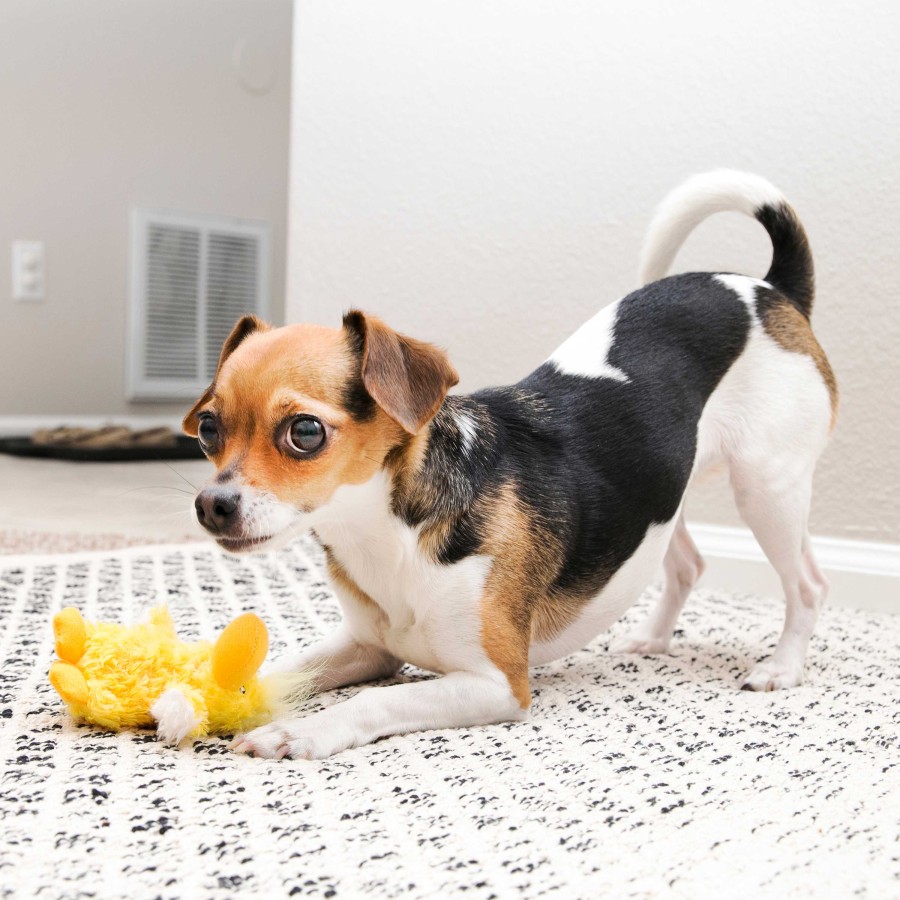 Perros KONG Peluches | Kong Pato De Peluche Duckie Para Perro