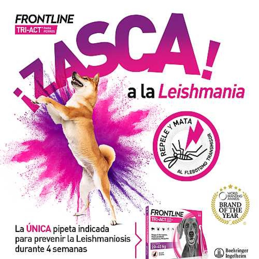 Perros Frontline Pipetas | Frontline Pipetas Tri-Act Soluci Spot-On Para Perros De 2-5 Kg