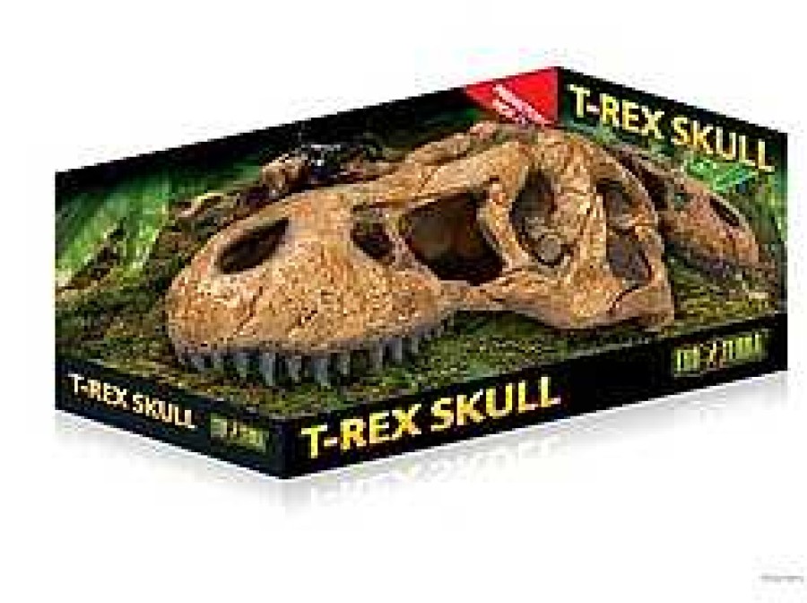 Reptiles Exo Terra Cuevas Y Rocas | Exo Terra Cueva Calavera De T-Rex Para Terrarios