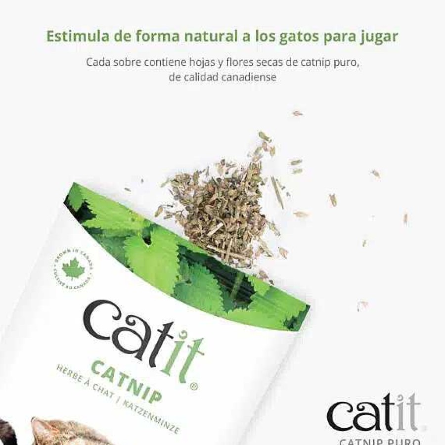 Gatos Catit | Catit Catnip Natural Para Gatos