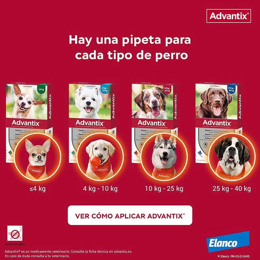 Perros Advantix Pipetas | Advantix Pipetas Spot On Para Perro De 10-25 Kg