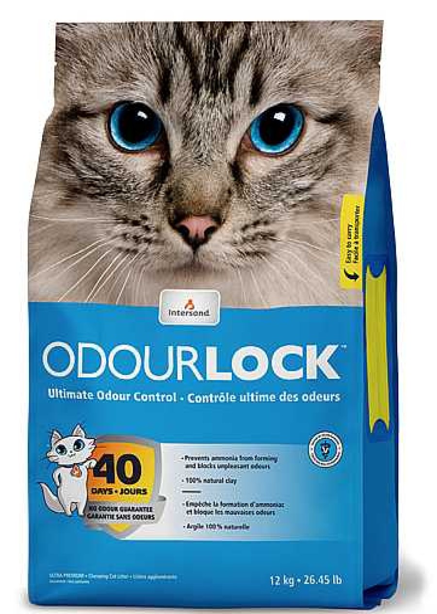 Gatos Intersand Arenas | Intersand Arena Aglomerante Odourlock