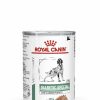 Perros Royal Canin Dieta Veterinaria | Royal Canin Diabetic Special Low Carbohydrate