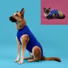 Perros KVP Camisetas | Kvp Camiseta Malla De Recuperaci N Para Perro Y Gato