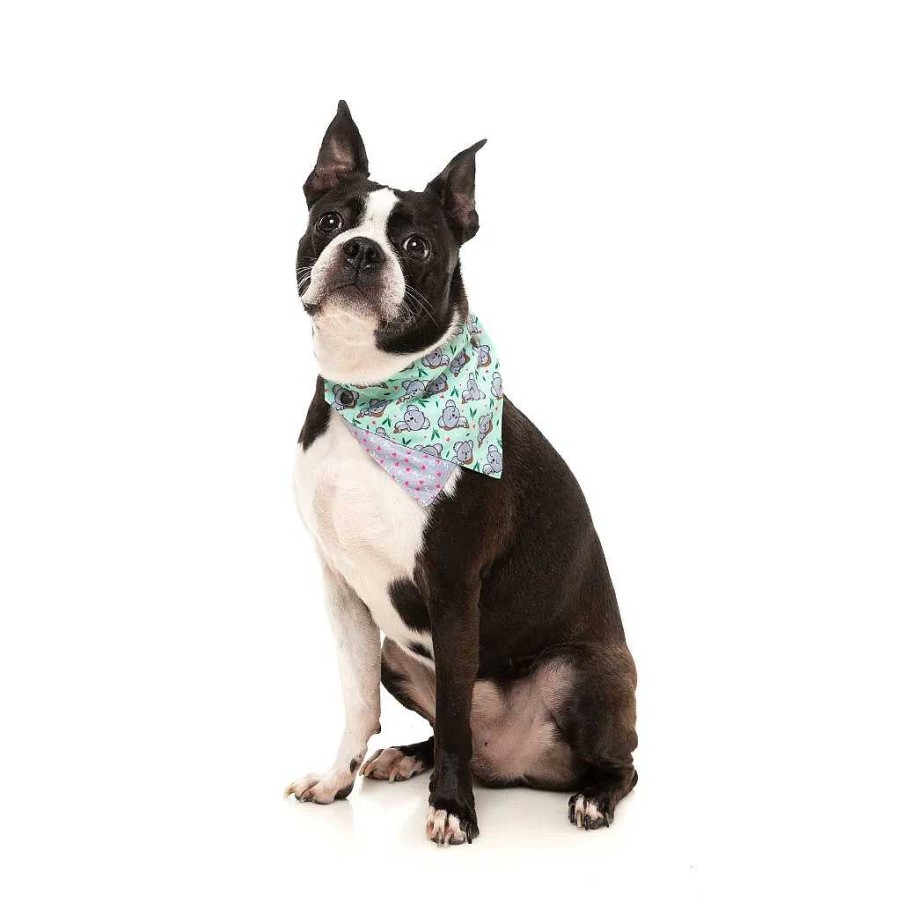 Perros FuzzYard Complementos | Fuzzyard Bandana Dreamtime Koalas Para Perros