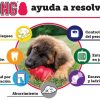 Perros KONG De Inteligencia E Interactivos | Kong S Nior Mordedor Rellenable Para Perros