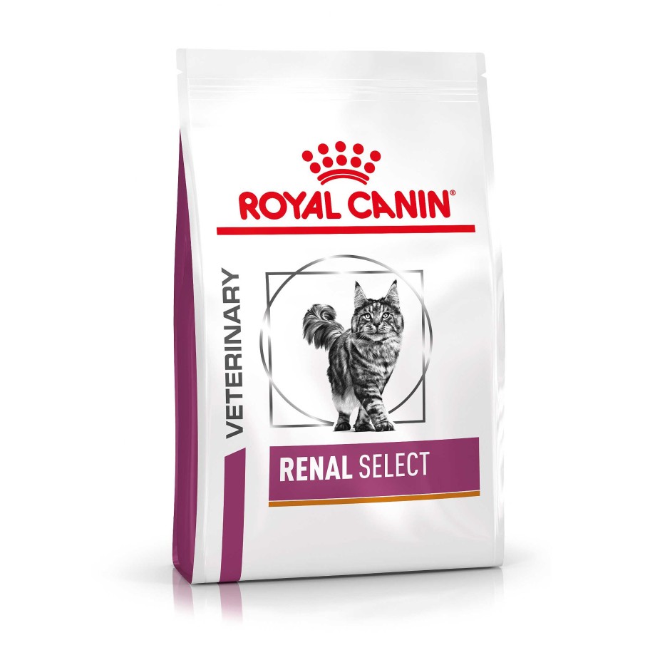 Gatos Royal Canin Pienso | Royal Canin Pienso Veterinary Renal Select Para Gatos