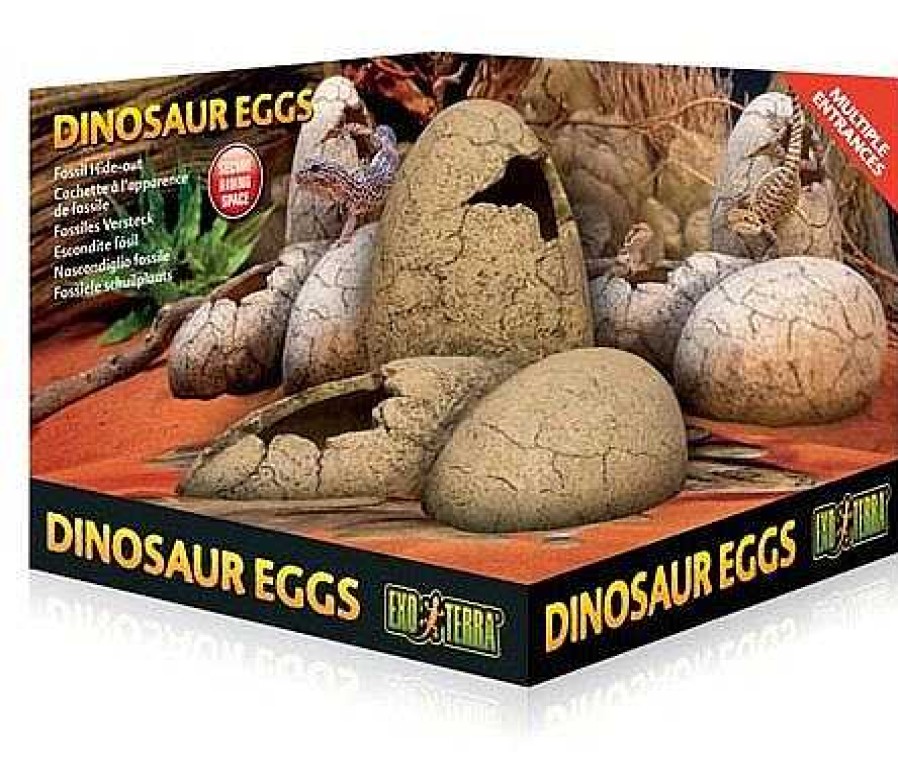 Reptiles Exo Terra Cuevas Y Rocas | Exo Terra Refugio Dino Dinosaur Eggs (Con Bebedero) Nano