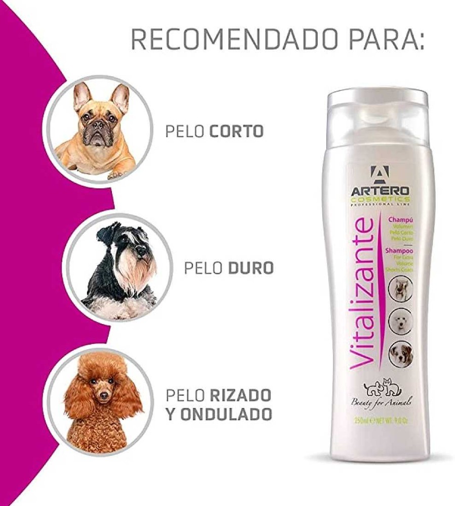 Perros Artero Champ S | Artero Champ Vitalizante Para Perros