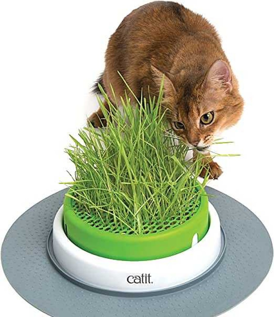 Gatos Catit | Catit Senses 2.0 Cat Grass Kit Recambio Hierba Gatera