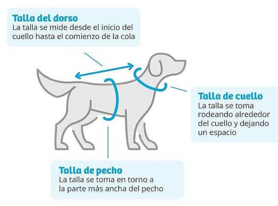 Perros MI&DOG Chubasqueros | Mi&Dog Impermeable Transparente Con Capucha