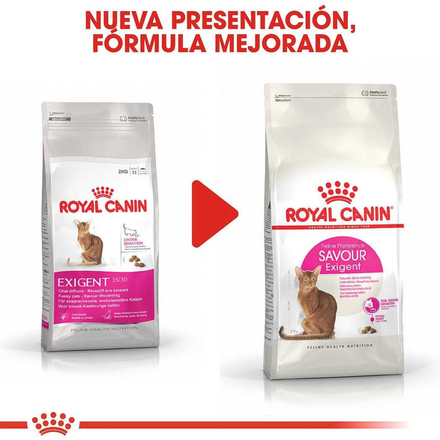 Gatos Royal Canin Pienso | Royal Canin Savour Exigent Pienso Para Gato Adulto Exigente