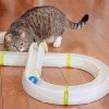 Gatos Ferplast De Inteligencia E Interactivos | Ferplast Circuito Typhon Para Gatos