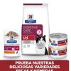 Gatos Hill's Dieta Veterinaria | Hill'S Comida H Meda Prescription Gastrointestinal Biome Para El Cuidado Digestivo En Gatos