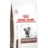 Gatos Royal Canin Pienso | Royal Canin Pienso Gastrointestinal Para Gato