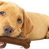 Perros Nylabone Mordedores Y Motivadores | Nylabone Hueso Para Cachorro Dentici N