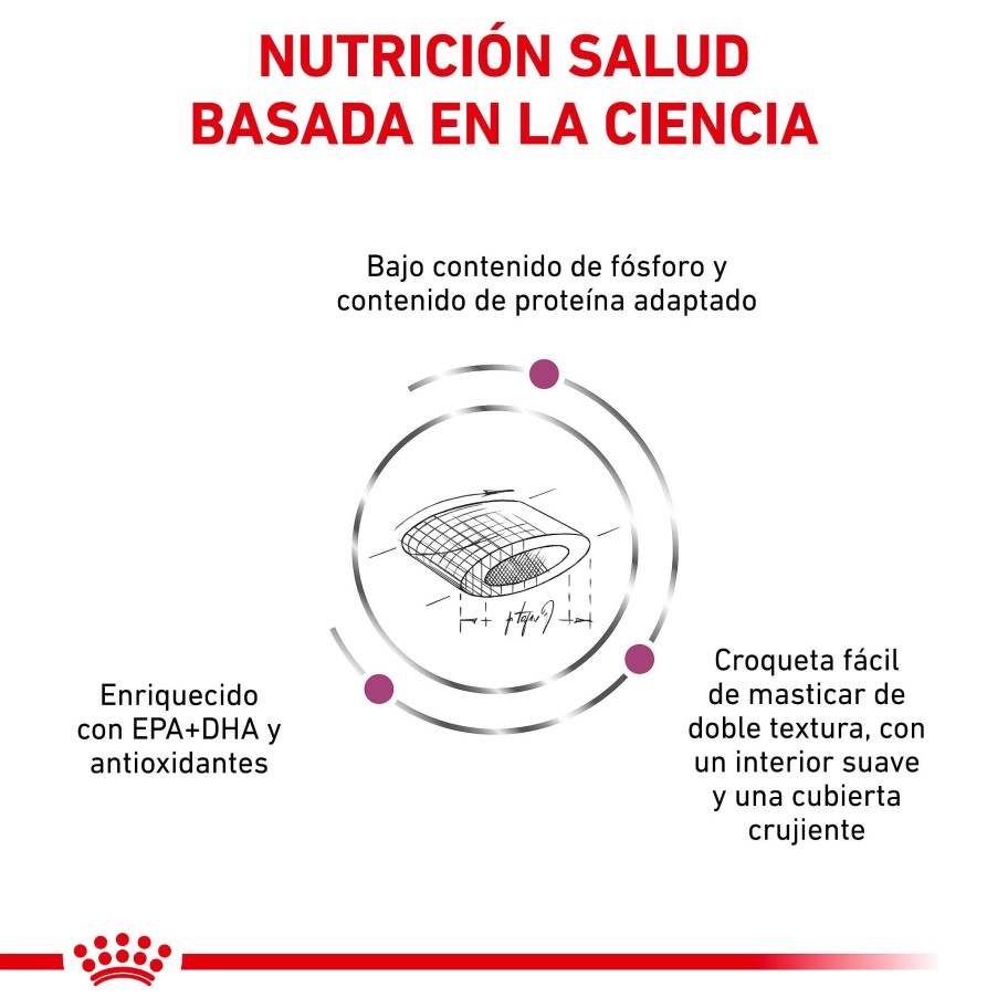 Gatos Royal Canin Pienso | Royal Canin Pienso Veterinary Renal Select Para Gatos