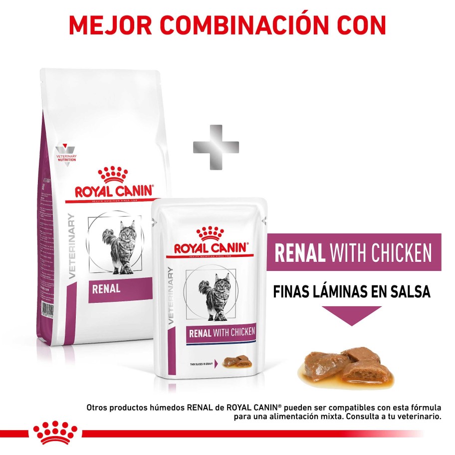 Gatos Royal Canin Pienso | Royal Canin Pienso Renal Para Gatos