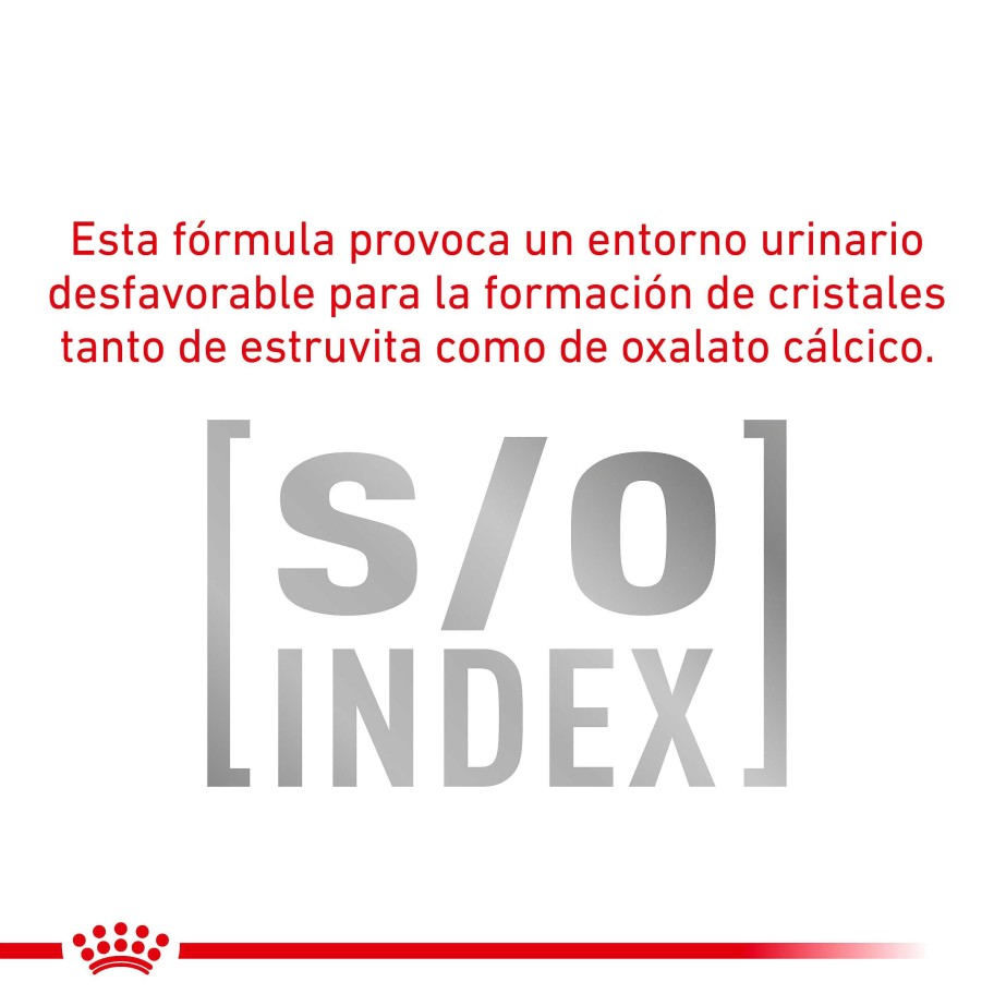 Gatos Royal Canin Dieta Veterinaria | Royal Canin Comida H Meda Satiety Weight Management Para Gato