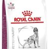 Perros Royal Canin Dieta Veterinaria | Royal Canin Pienso Renal Para Perros