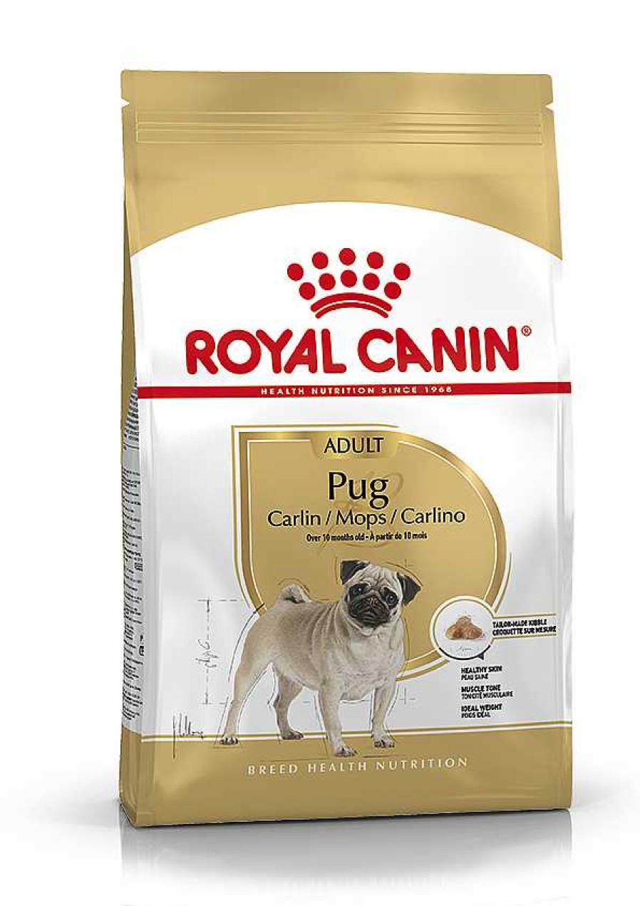 Perros Royal Canin Pienso | Royal Canin Pug Adult Pienso Para Perro Adulto Carlino