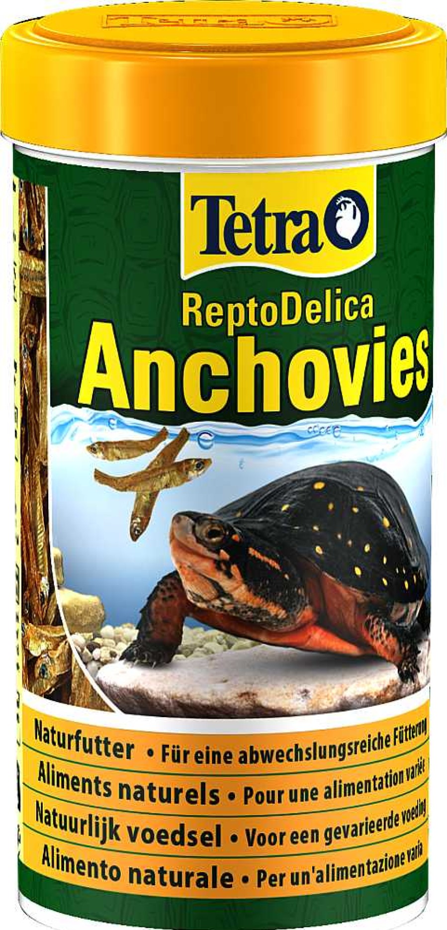 Reptiles Tetra | Tetra Anchovies